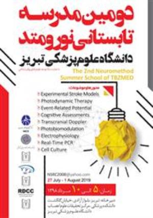 دومین مدرسه تابستانی نورومتد(نورومتد 2)